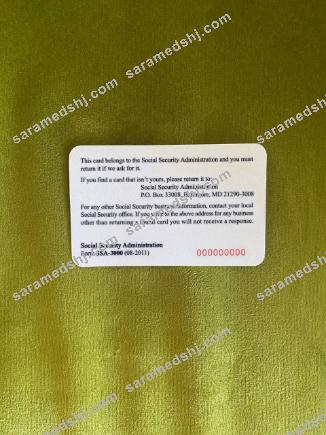 USA SSN photolook green textile background BACK